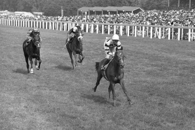 Gold Cup hero Sagaro was another of the great horses associated with Lester Piggott