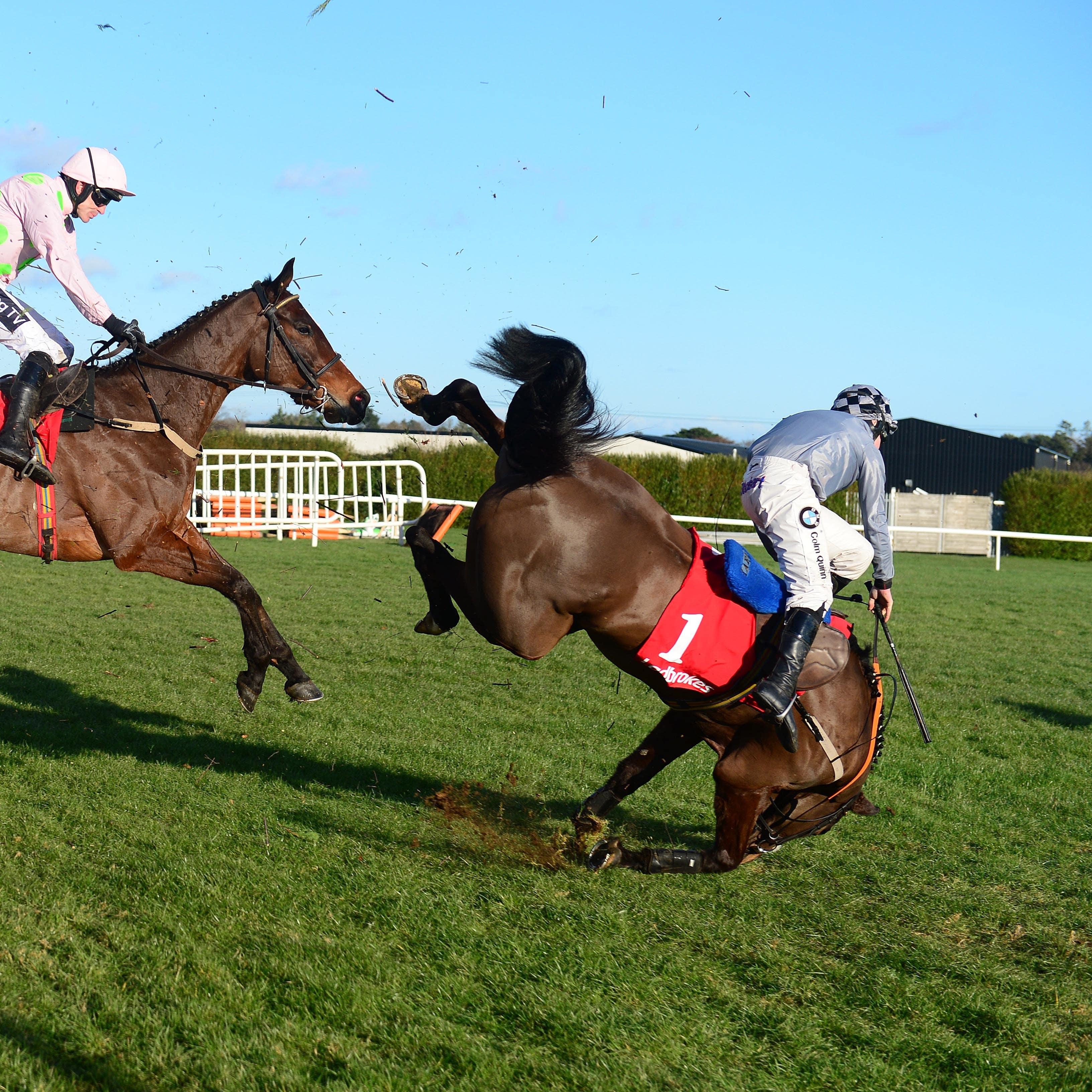 Castlegrace Paddy returned with a promising Cheltenham run after his fall at Leopardstown