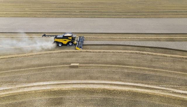 Aerial view of a combine harvester gathering crops