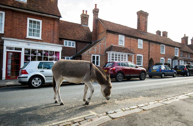 Beaulieu Village in the New Forest