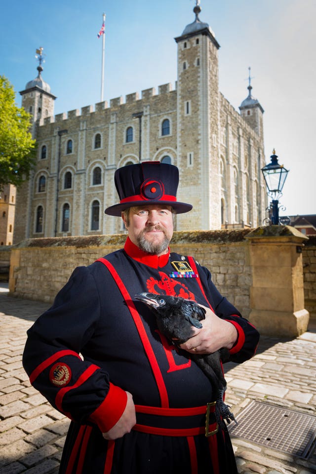 First ravens born for 30 years at Tower of London