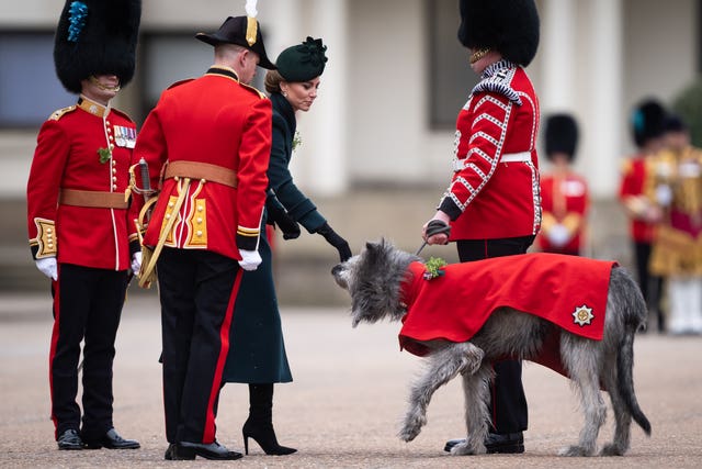 The Princess of Wales presents the traditional sprigs of shamrock to the Irish Guards Mascot Turlough Mor