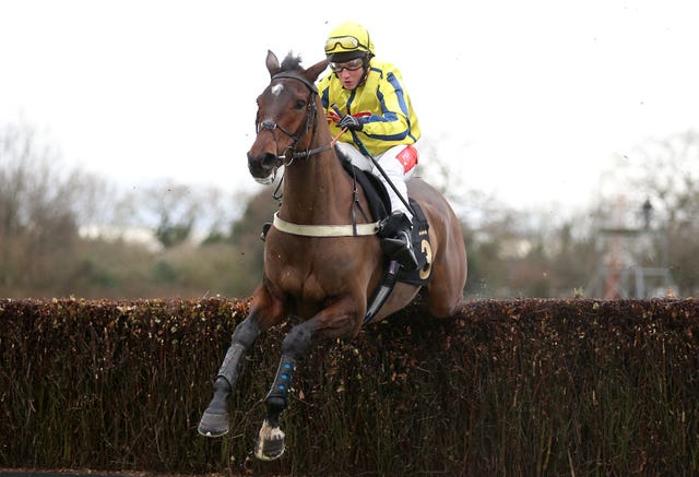 Haddex Des Obeaux was a winner at Warwick last weekend 