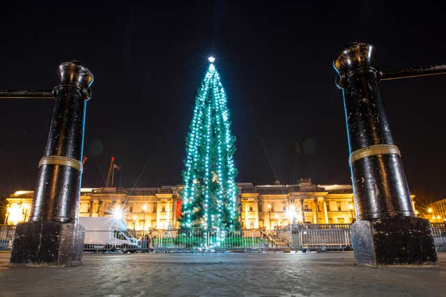 Trafalgar Square Christmas tree