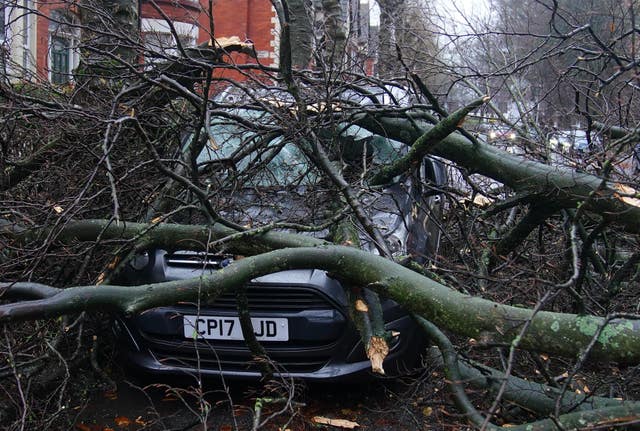 A fallen tree on a car in Liverpool