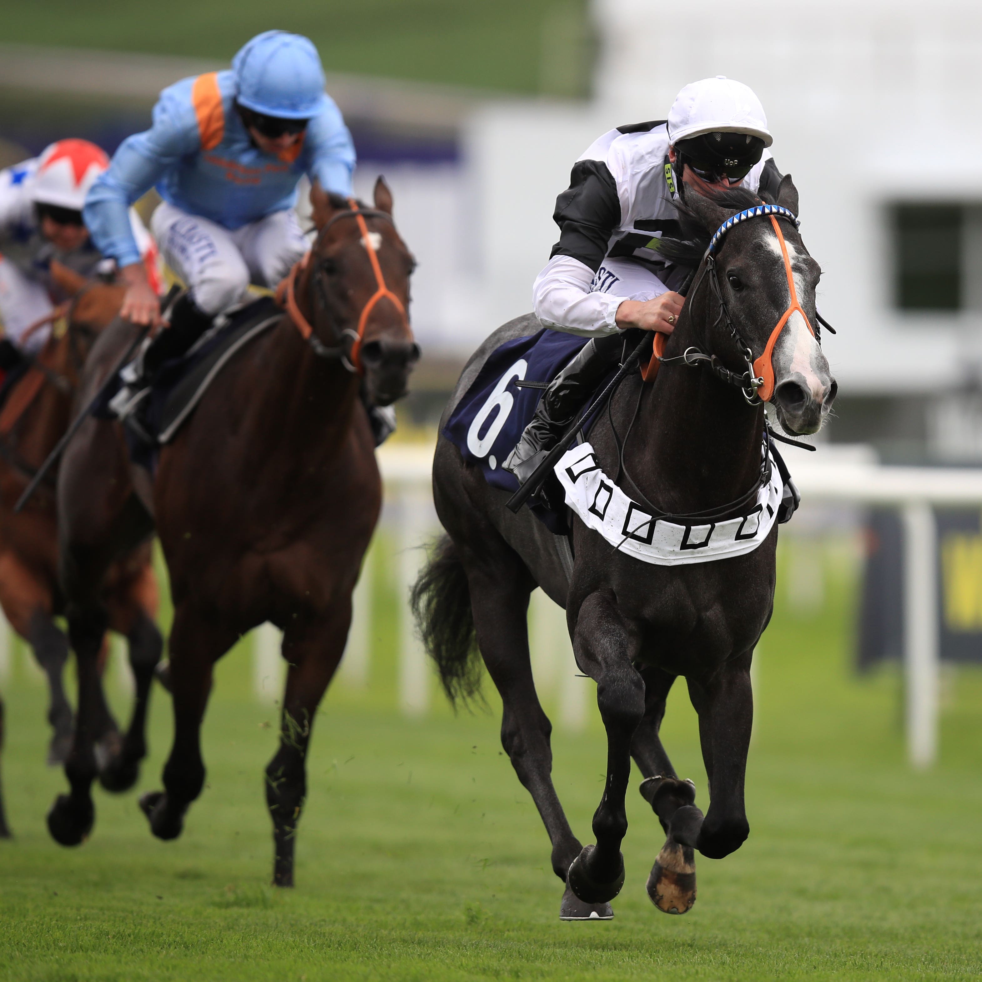 Tip Two Win is being prepared for the Qatar Derby at Doha