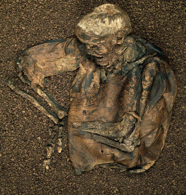New home for Iron Age peat bog body