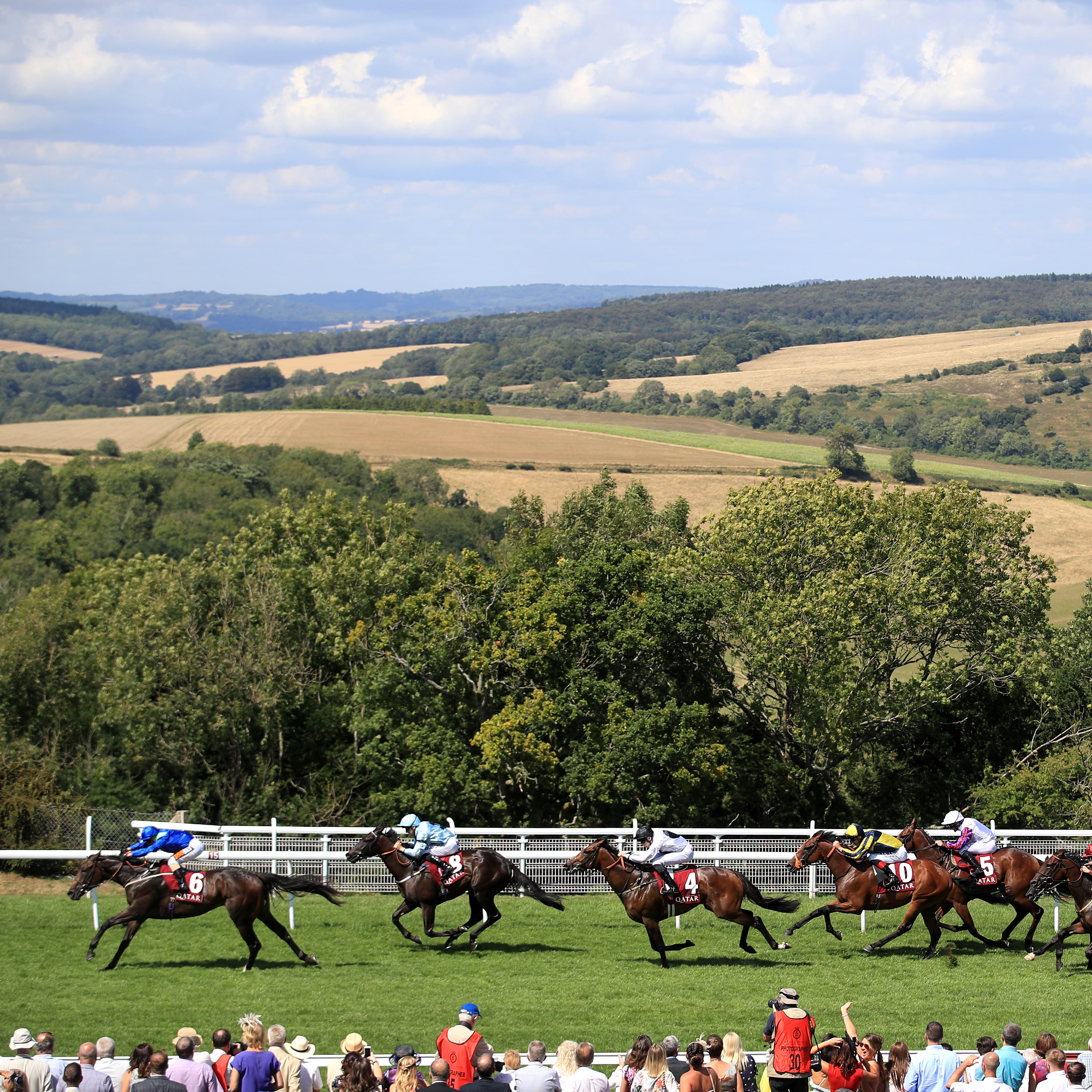 Dark Vision (left) will try to repeat his Goodwood form when he lines up at Sandown