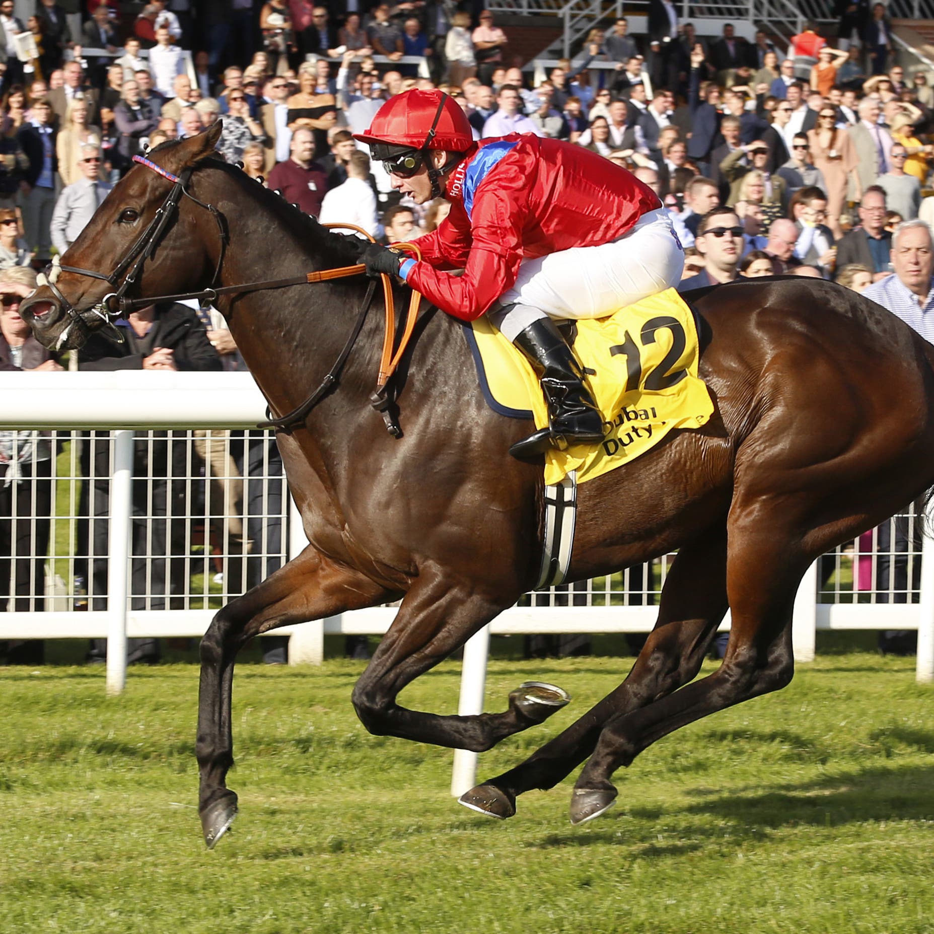Take Cover on his way to winning at Newbury last season