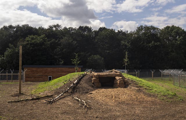 Cheetah Territory at Yorkshire Wildlife Park