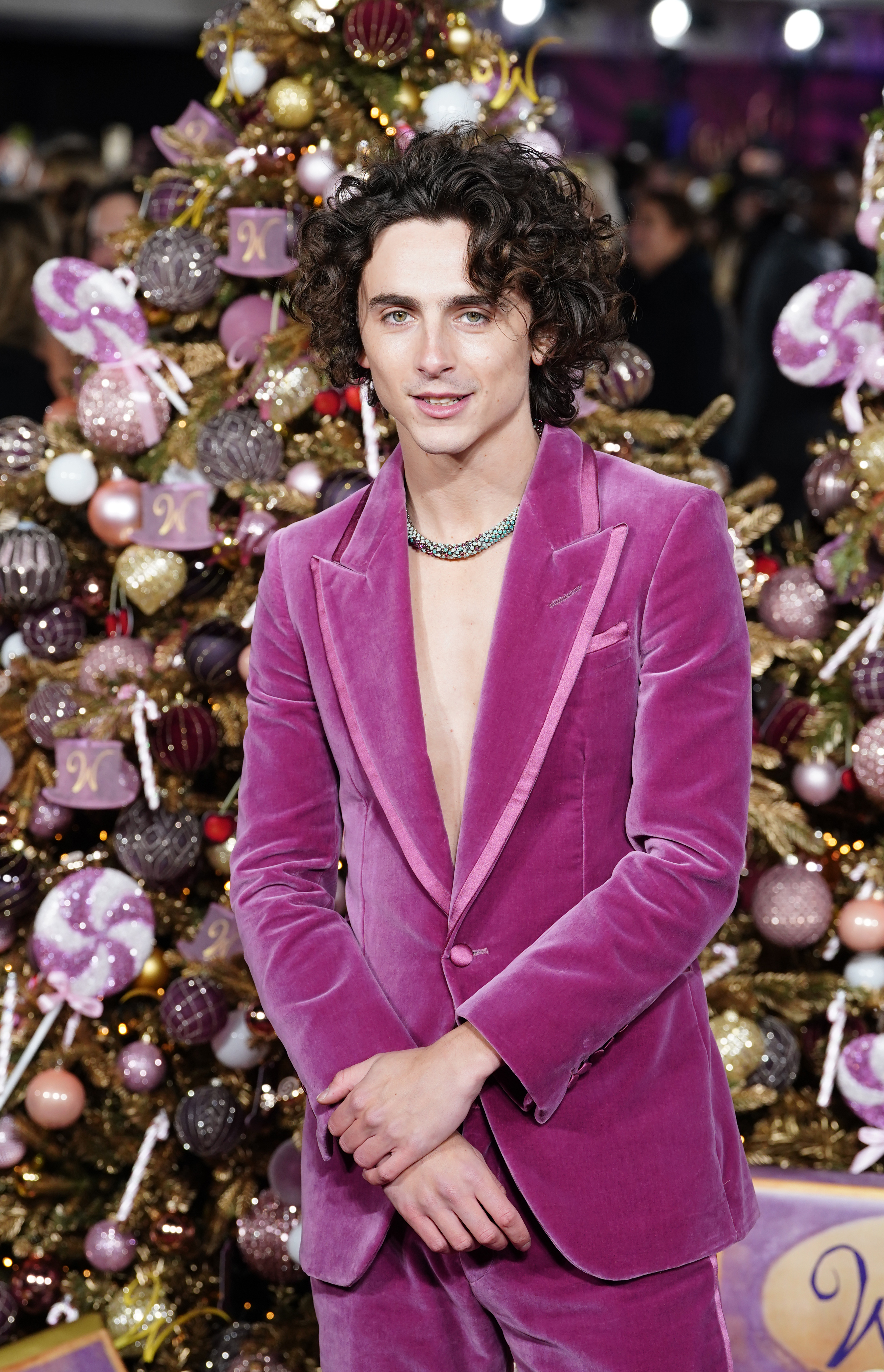 Timothee Chalamet Dazzles In Velvet Suit At World Premiere Of Wonka ...