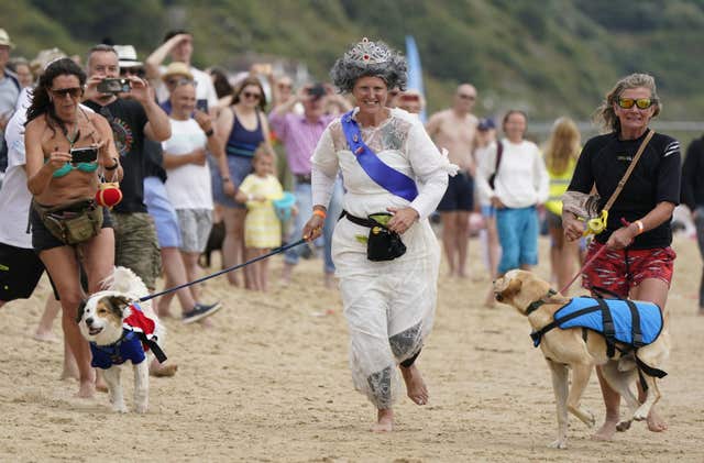 UK Dog Surfing Championships