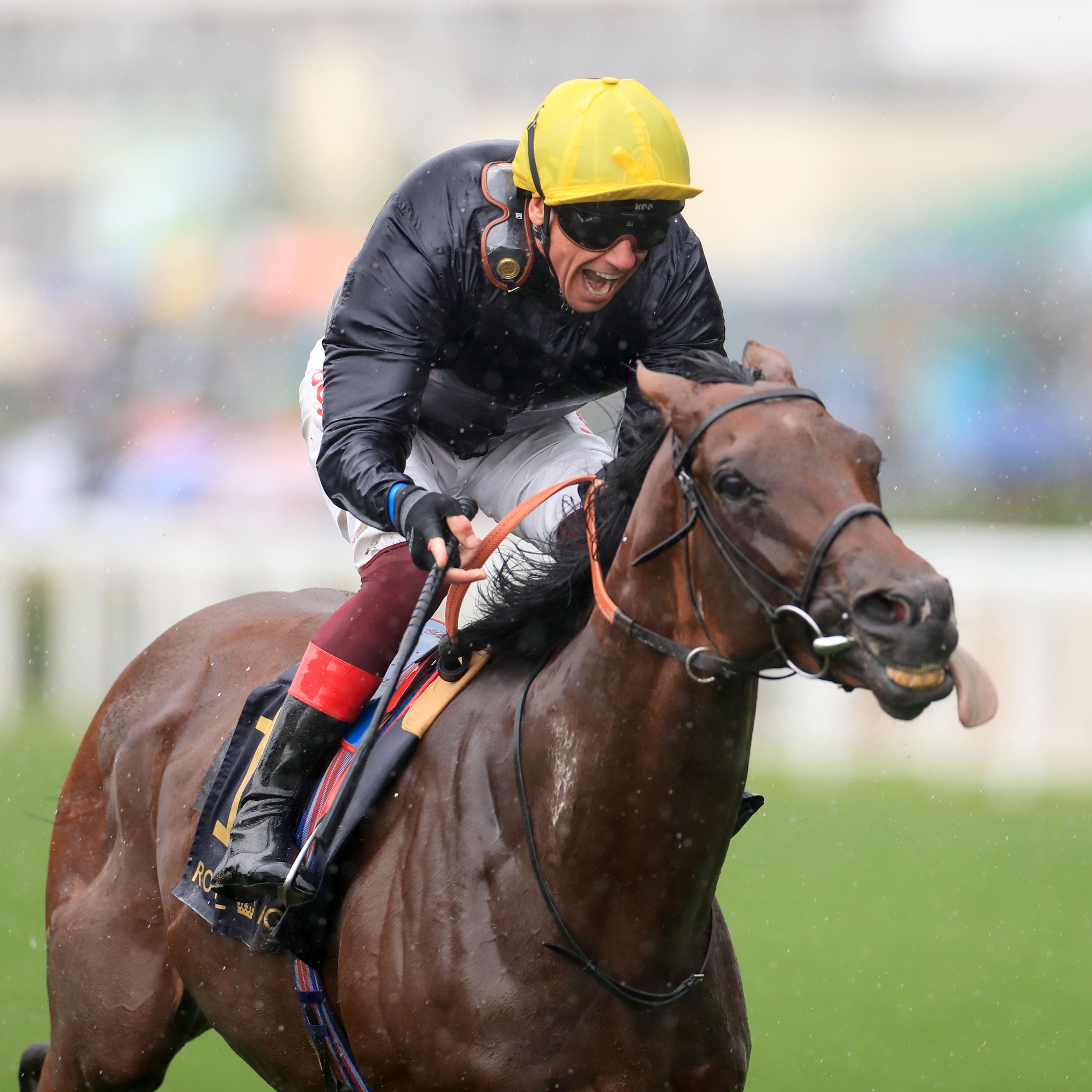 Crystal Ocean wins the Prince of Wales's Stakes at Royal Ascot
