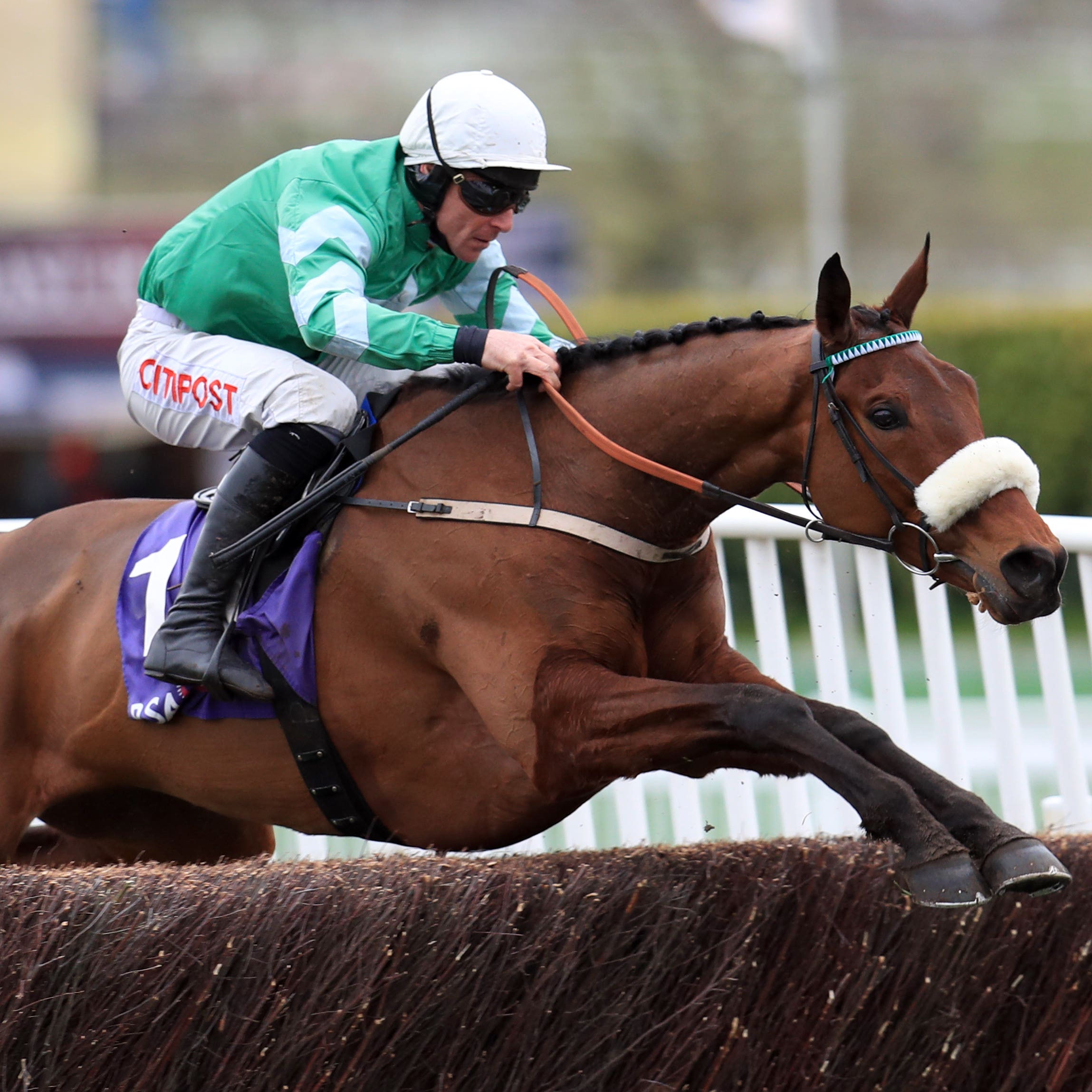 Presenting Percy on his way to winning the RSA Chase at Cheltenham