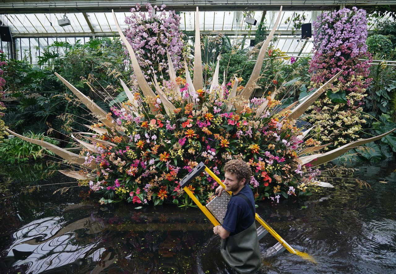 Kew Gardens’ orchid festival to showcase stunning Costa Rican blooms