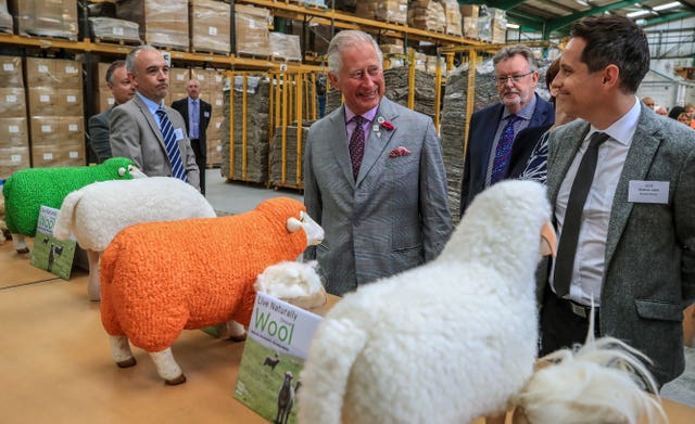 Prince of Wales visit to Woolcool