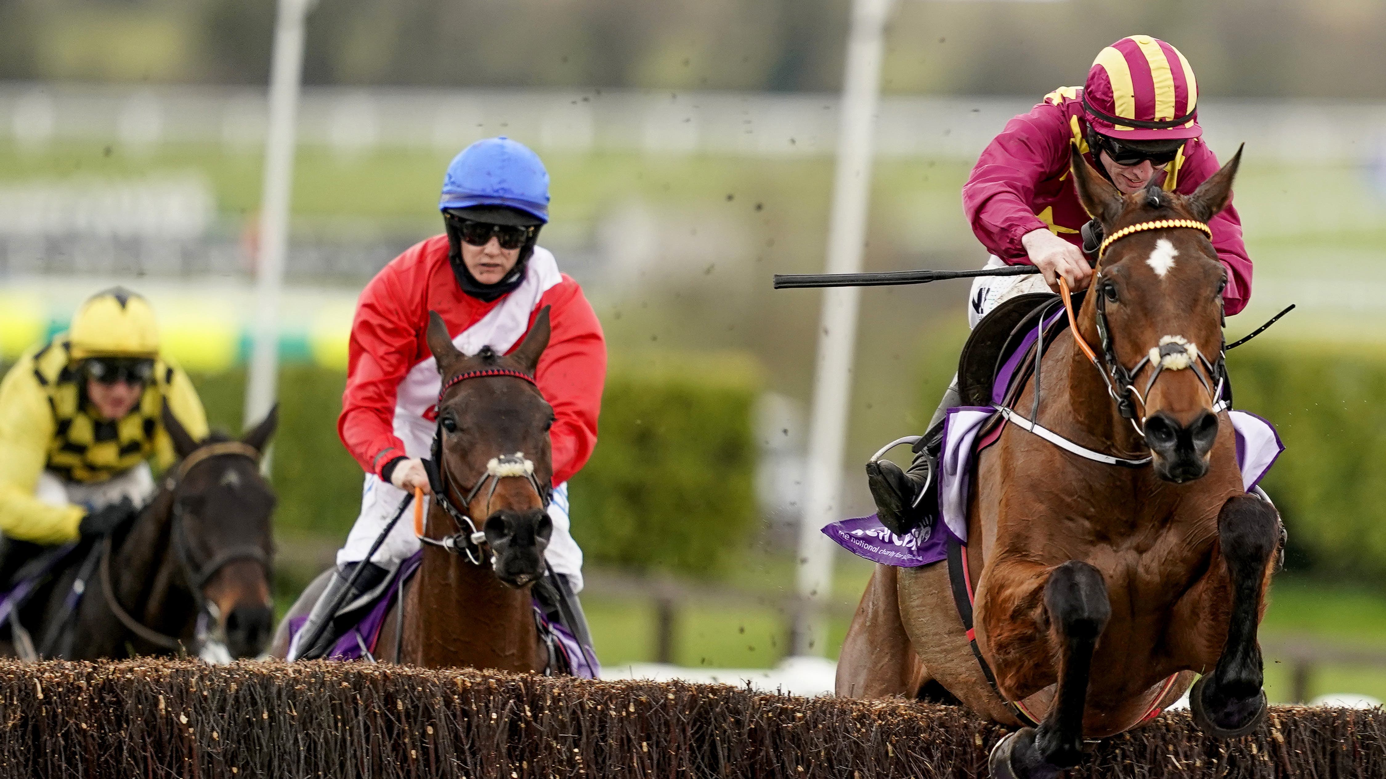 cheltenham-day-four-entries-thirteen-stand-ground-for-gold-cup