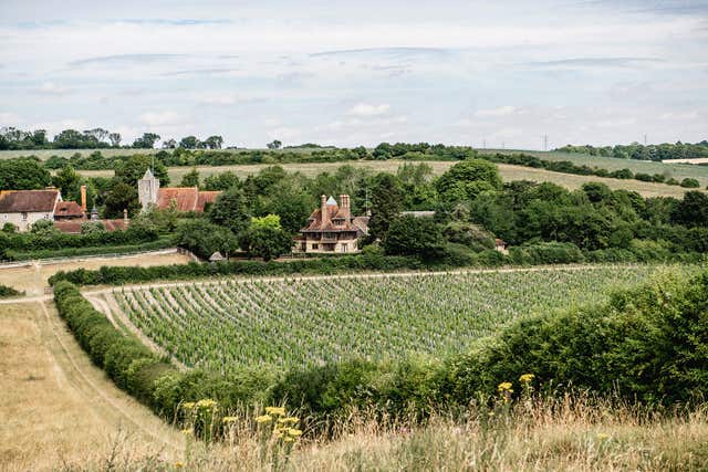 Kent landscape that inspired Dickens declared nature reserve