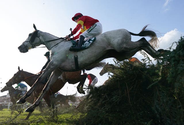 Vanillier in action in last year's Grand National 