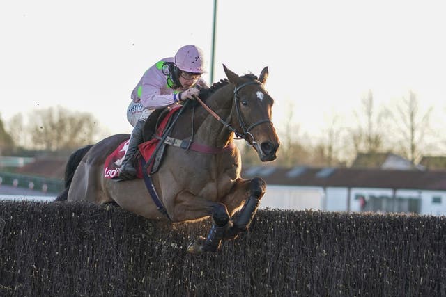 Royale Pagaille at Kempton 