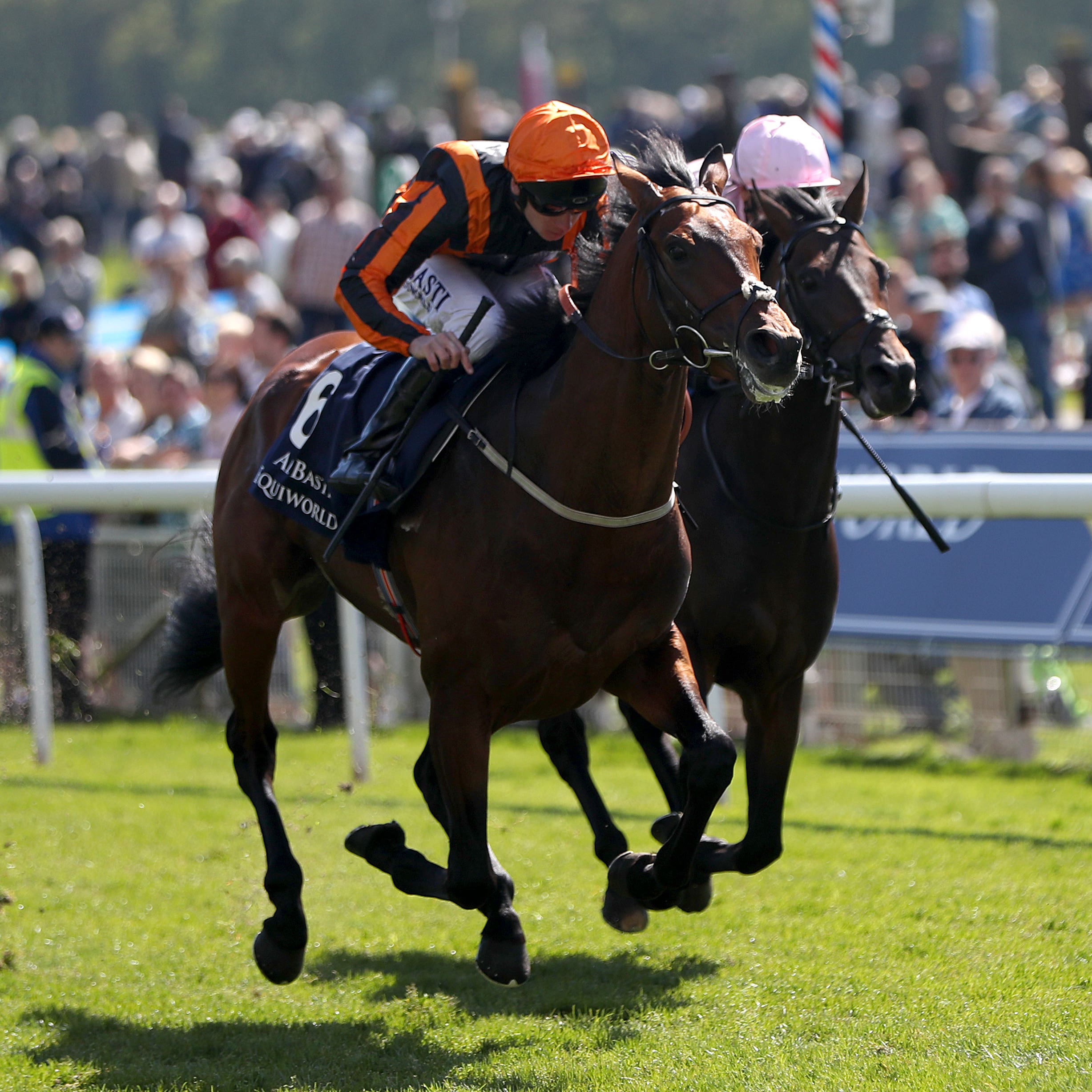 Telecaster holds off Too Darn hot at York
