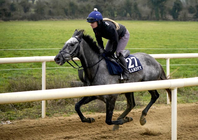 Fil Dor at home at Gordon Elliott's yard 