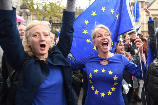 Brexit protest