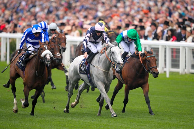 Gallant grey Lord Glitters has proven to be a real money-spinner for connections 