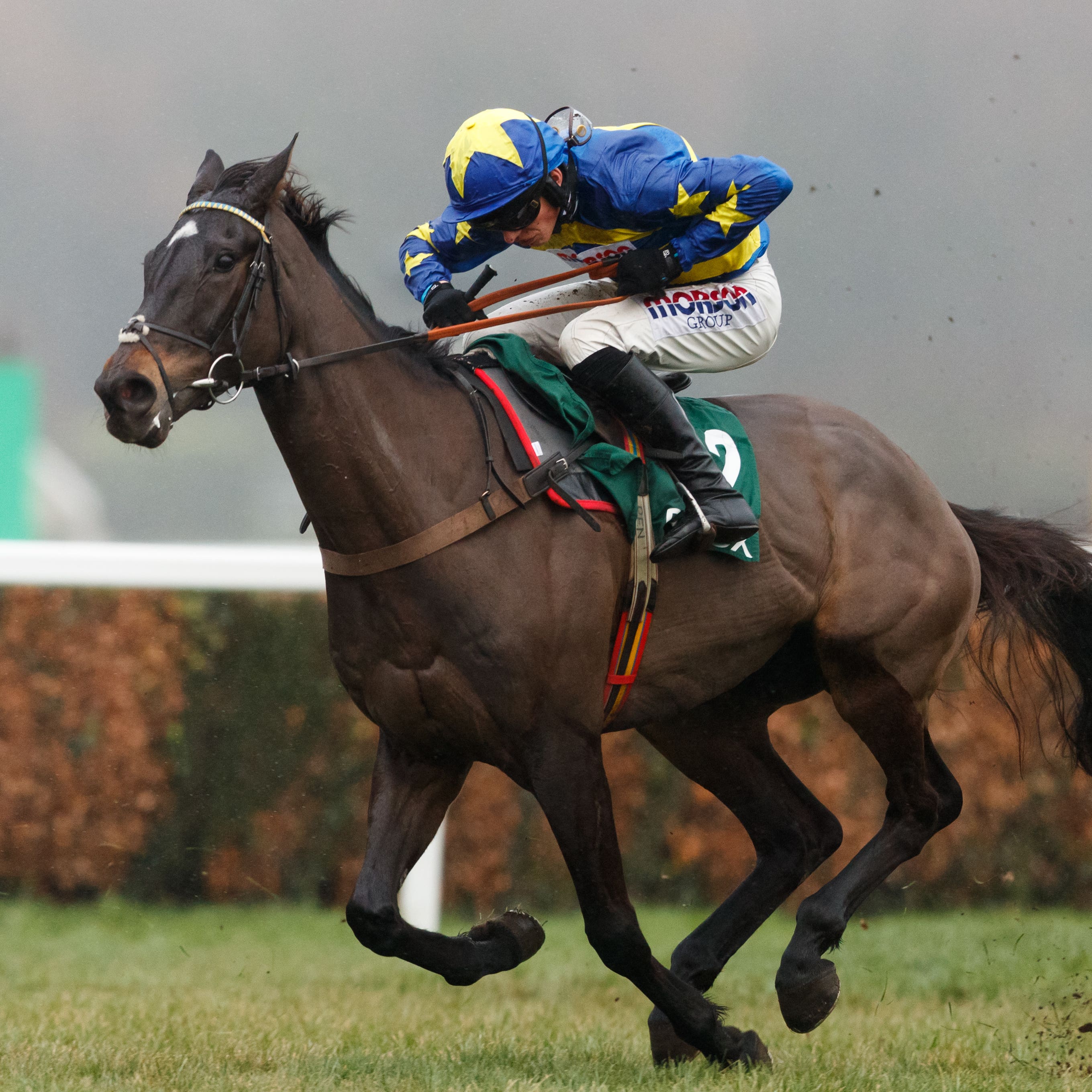 Dynamite Dollars at Sandown
