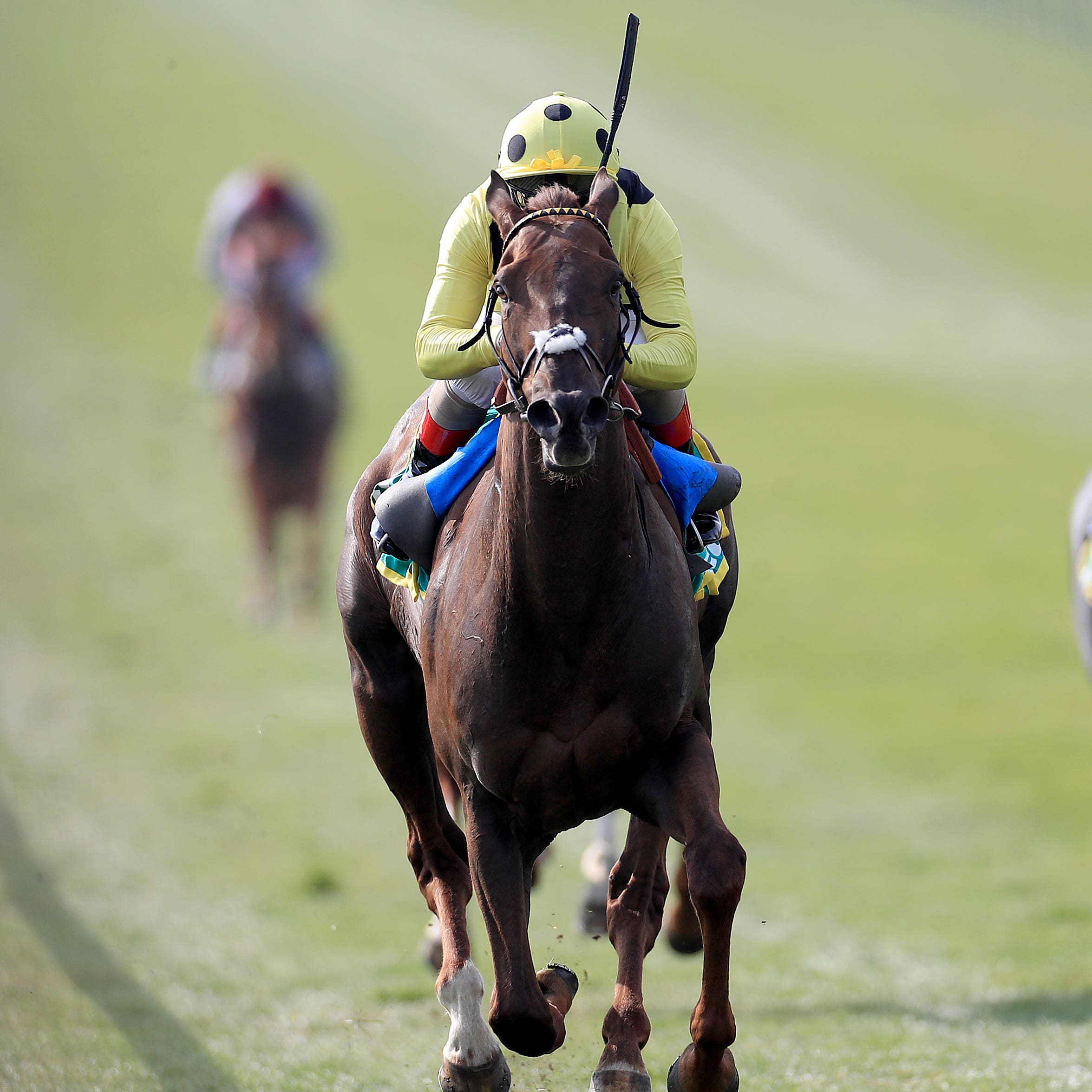 Zabeel Prince wins the Earl of Sefton Stakes at Newmarket