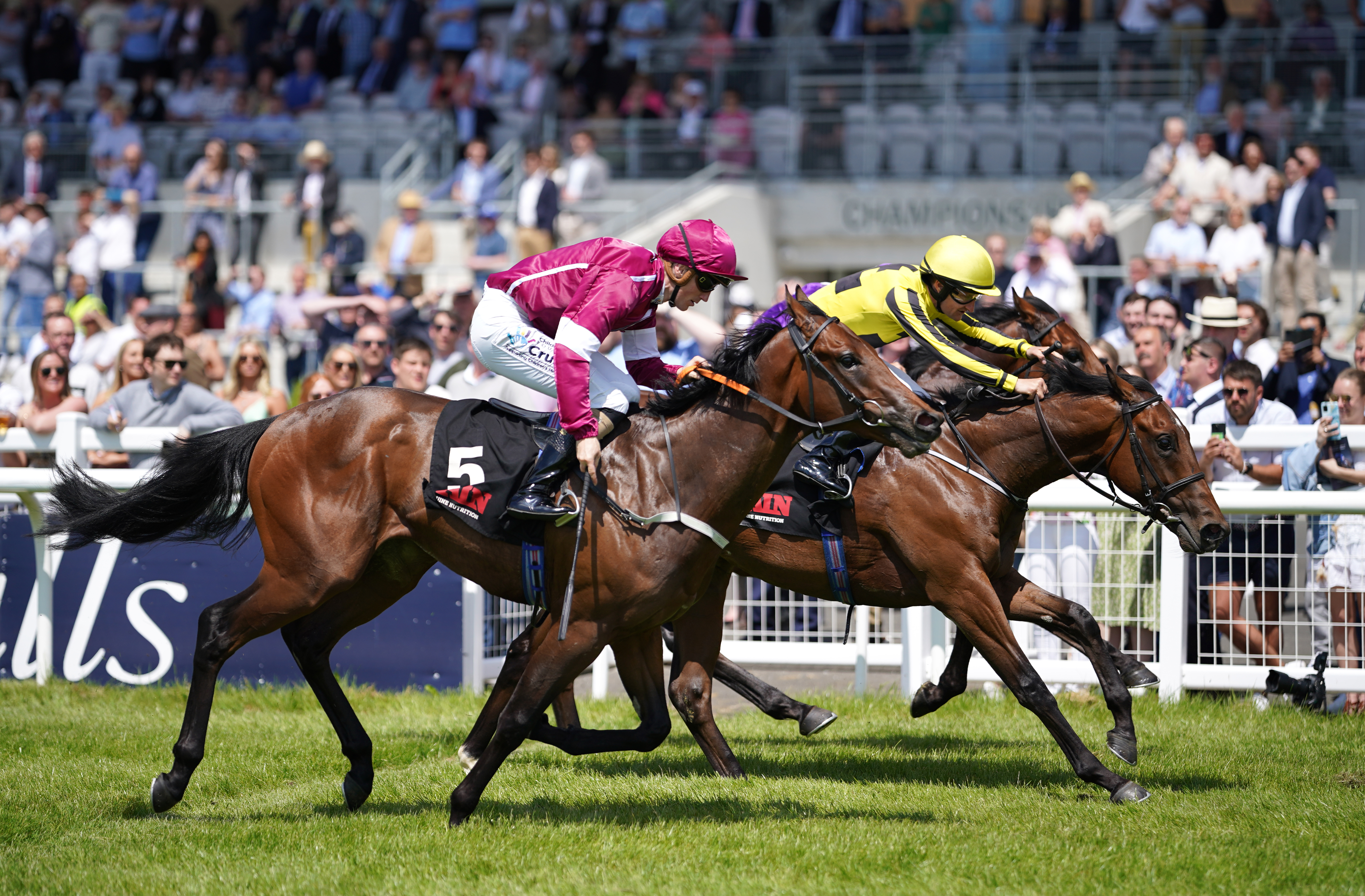 Noche Magica was caught late by Givemethebeatboys in the Marble Hill