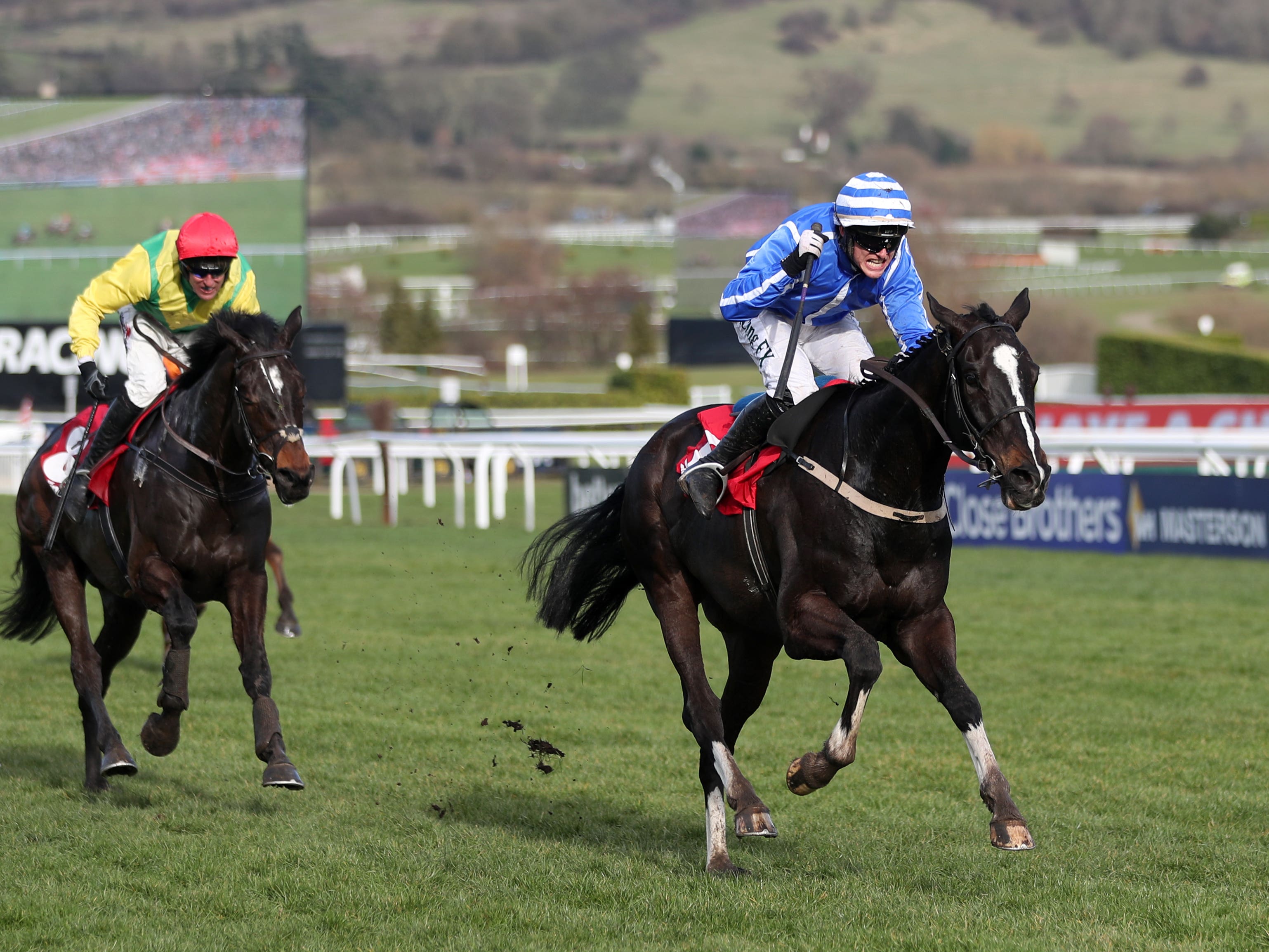 Penhill heads record 23 Irish entries for Stayers’ Hurdle at Cheltenham
