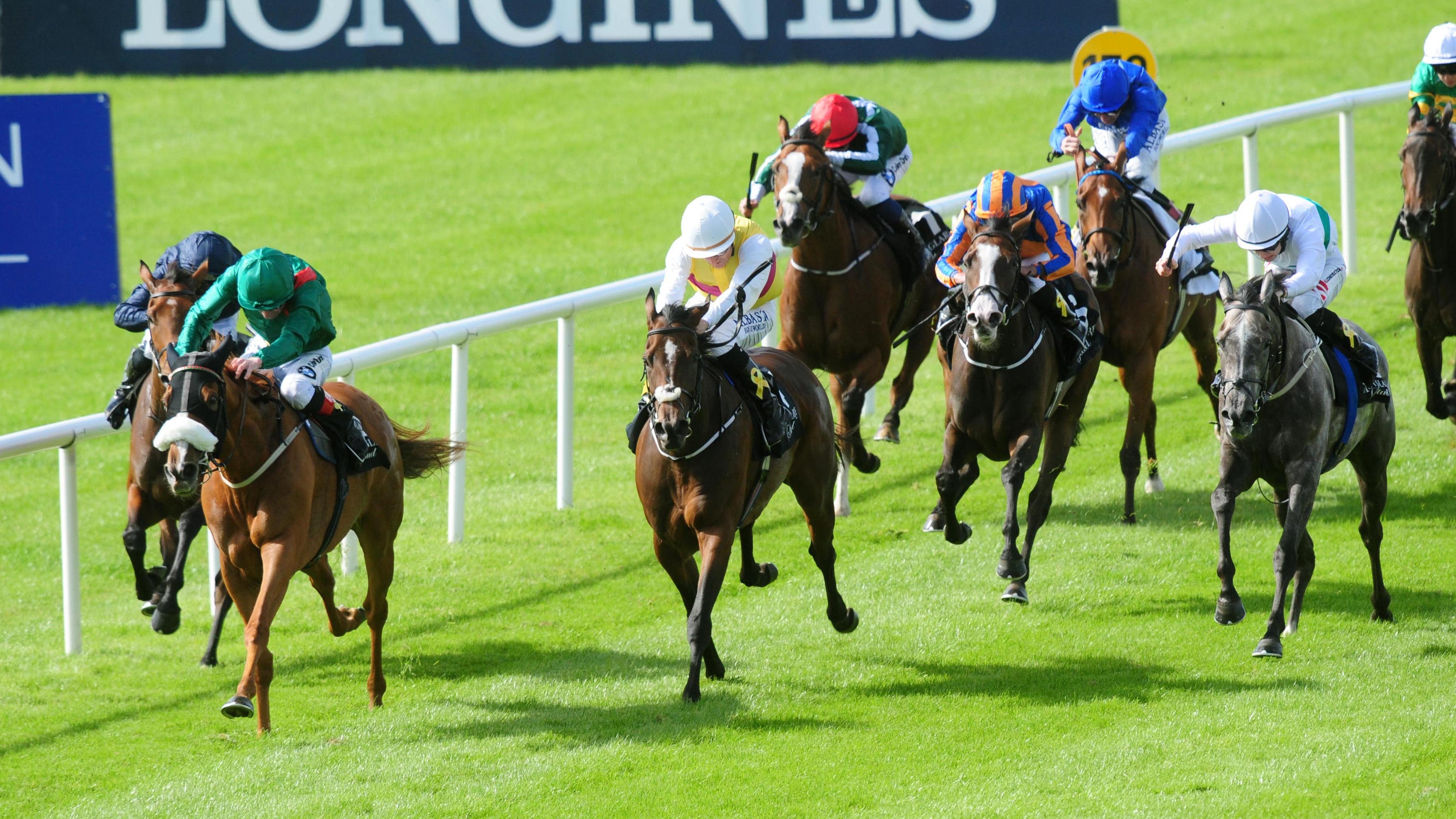 Horse Racing Ireland delighted to get June 8 approval for resumption