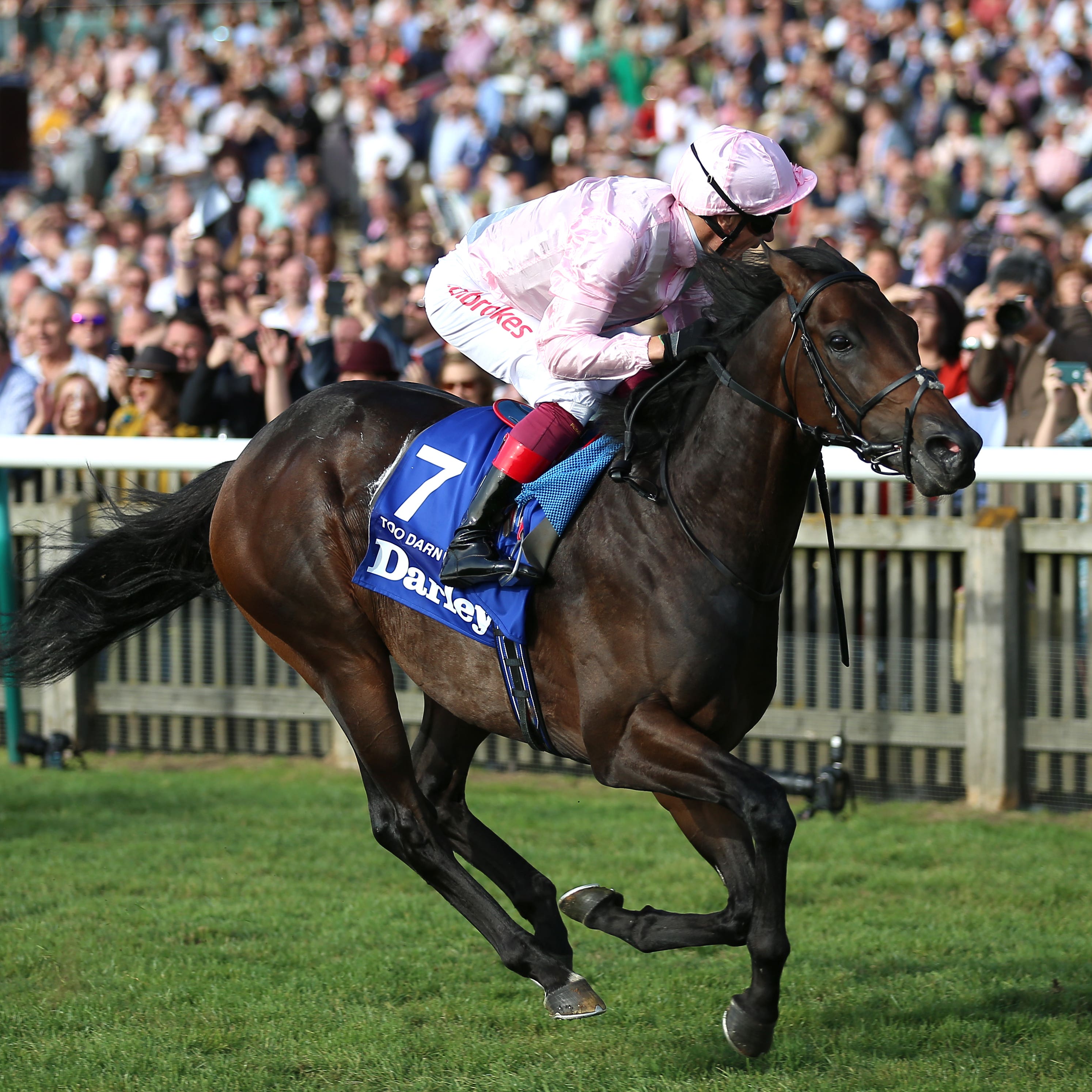 Too Darn Hot is set to miss the 2000 Guineas at Newmarket