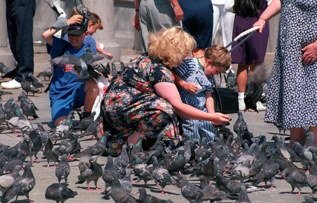 Trafalgar Square/pigeons