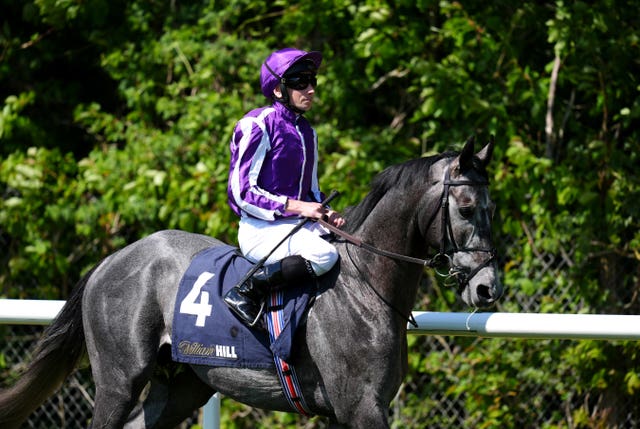 Puppet Master is 25-1 for the Derby 
