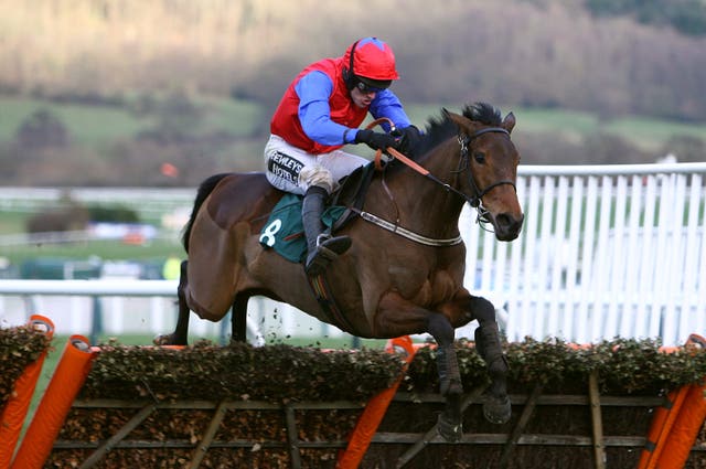 Quevega won the same race at Cheltenham six times