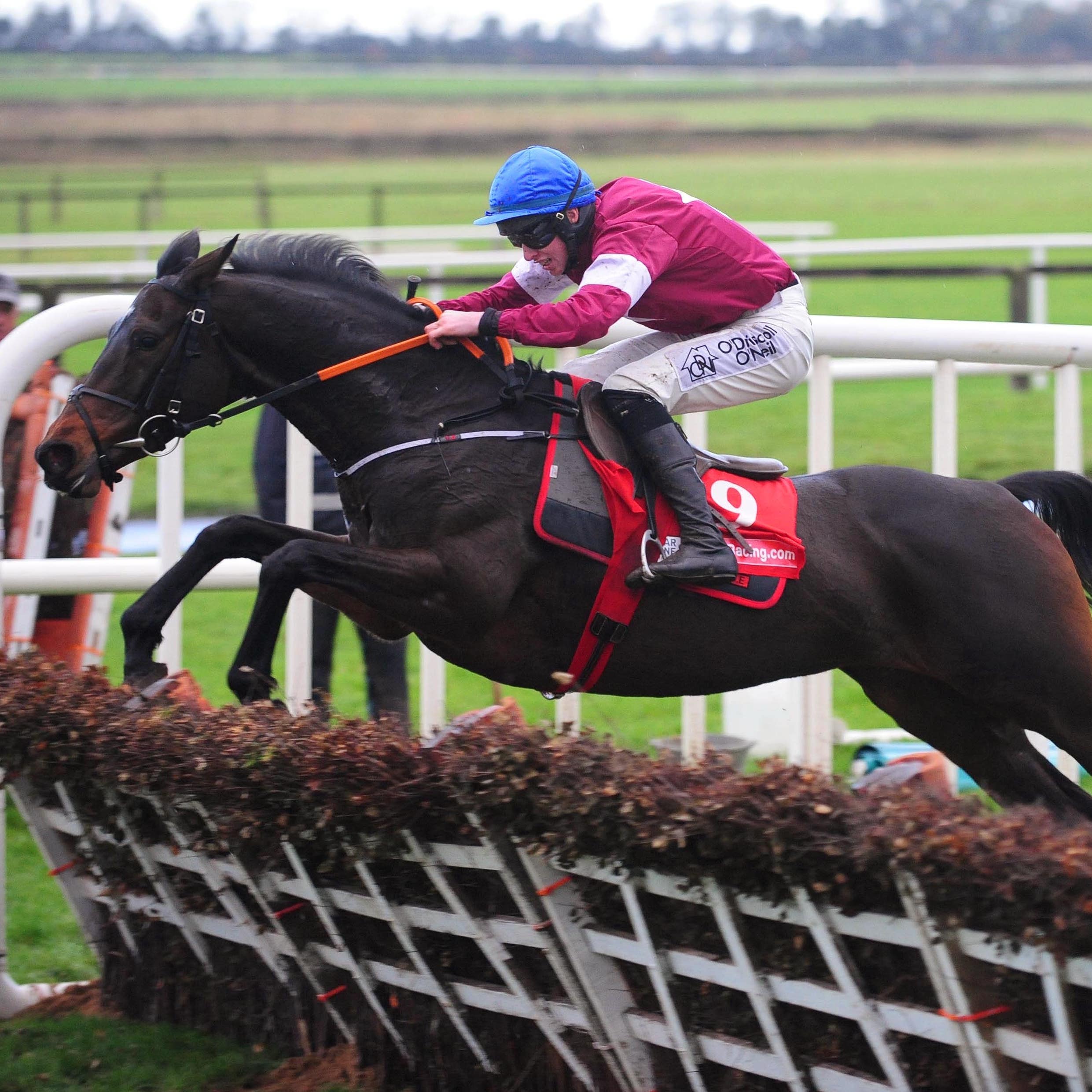 Apple's Jade jumps the final flight on her way to winning a third Hatton's Grace Hurdle at Fairyhouse