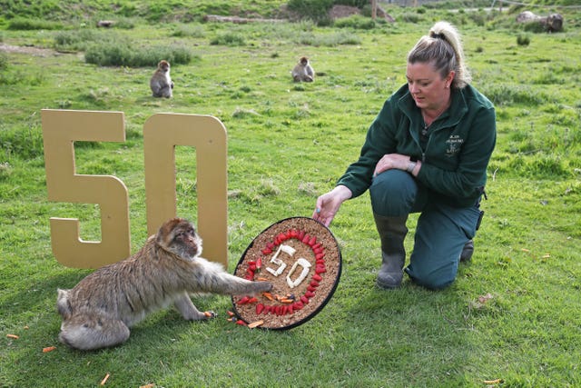 Blair Drummond Safari Park 50th anniversary