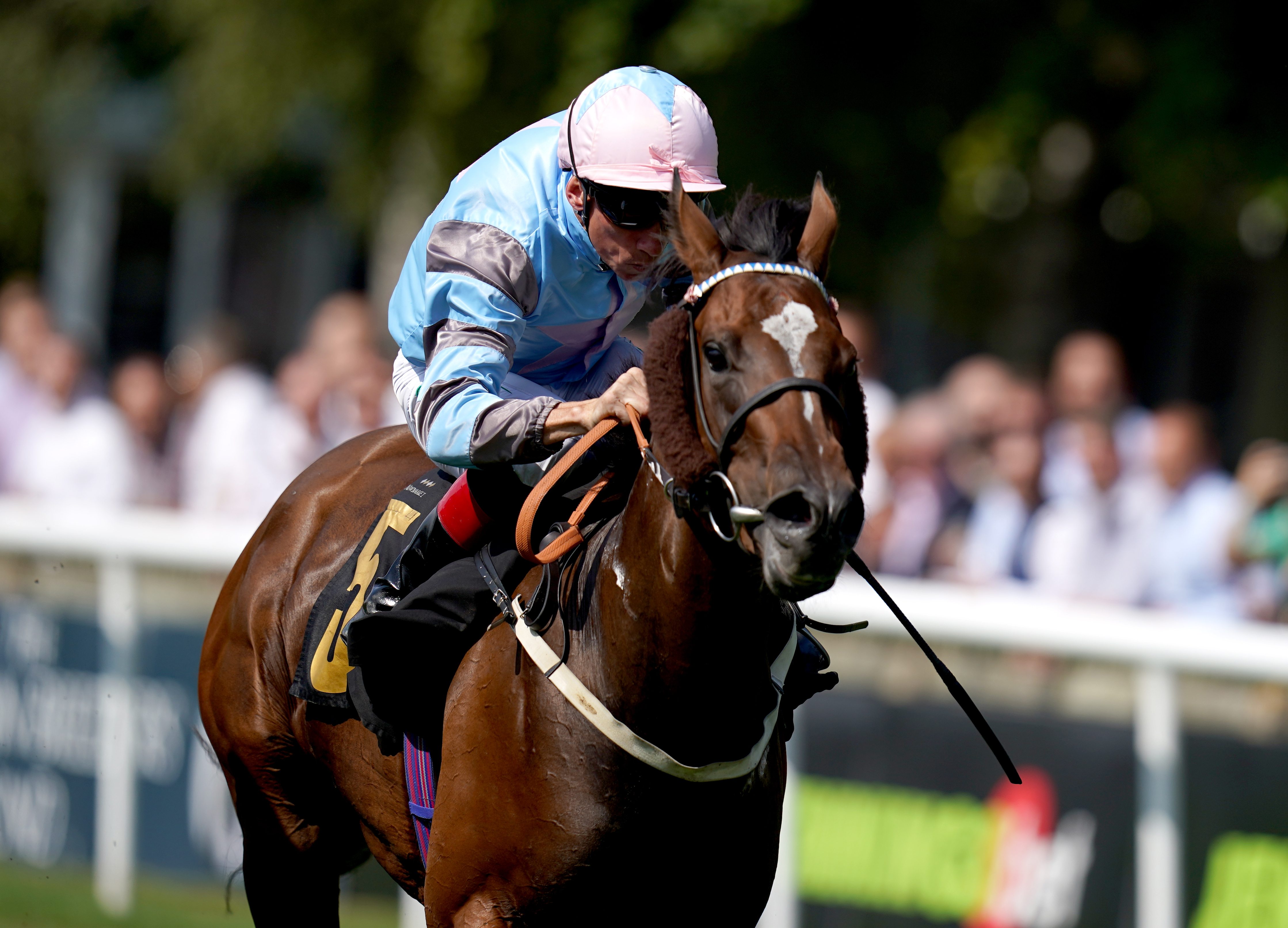 Astral Beau in action at Newmarket