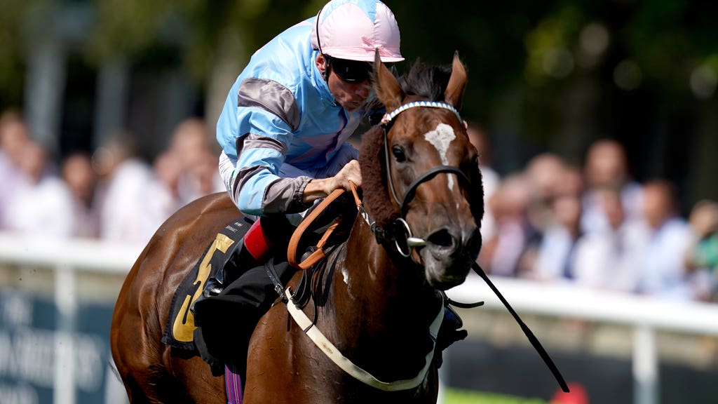 Astral Beau in action at Newmarket