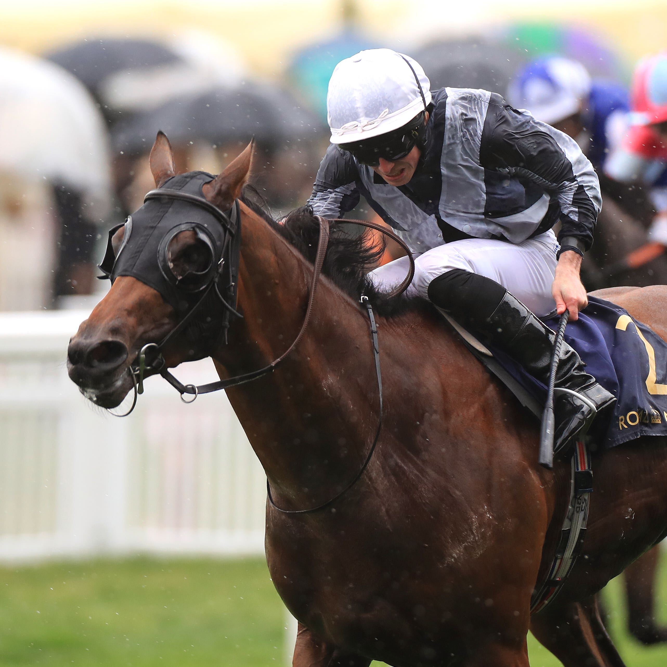 Circus Maximus was a gutsy winner of the St James's Palace