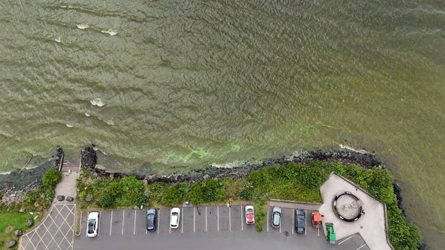 Blue-green algae on Lough Neagh in July 2024