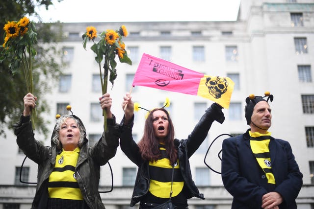 Demonstrators dressed as bees on Whitehall, outside Downing Street, during an Extinction Rebellion (XR) protest in Westminster, London (Victoria Jones/PA)