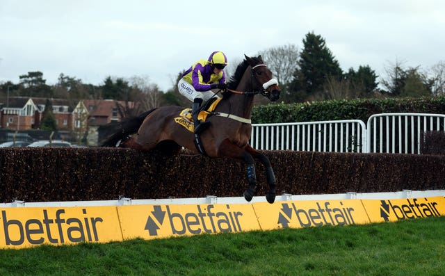 Le Patron put in a great round of jumping in the Henry VIII 