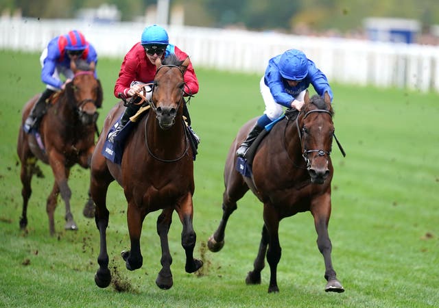 Adayar (right) locked in battle with Bay Bridge in the Champion Stakes