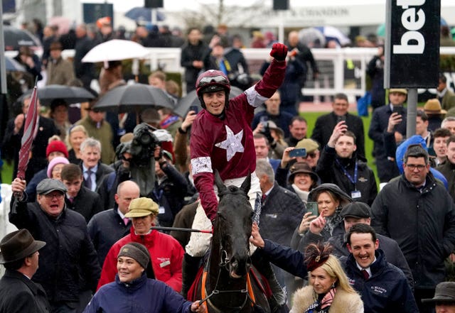 Delta Work after winning at last season's Cheltenham Festival 