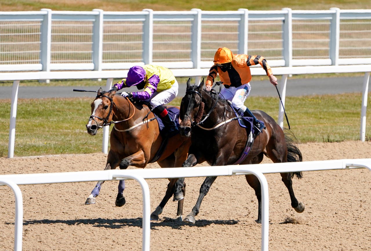 Horse Racing and Horse riding in Britain ответы.