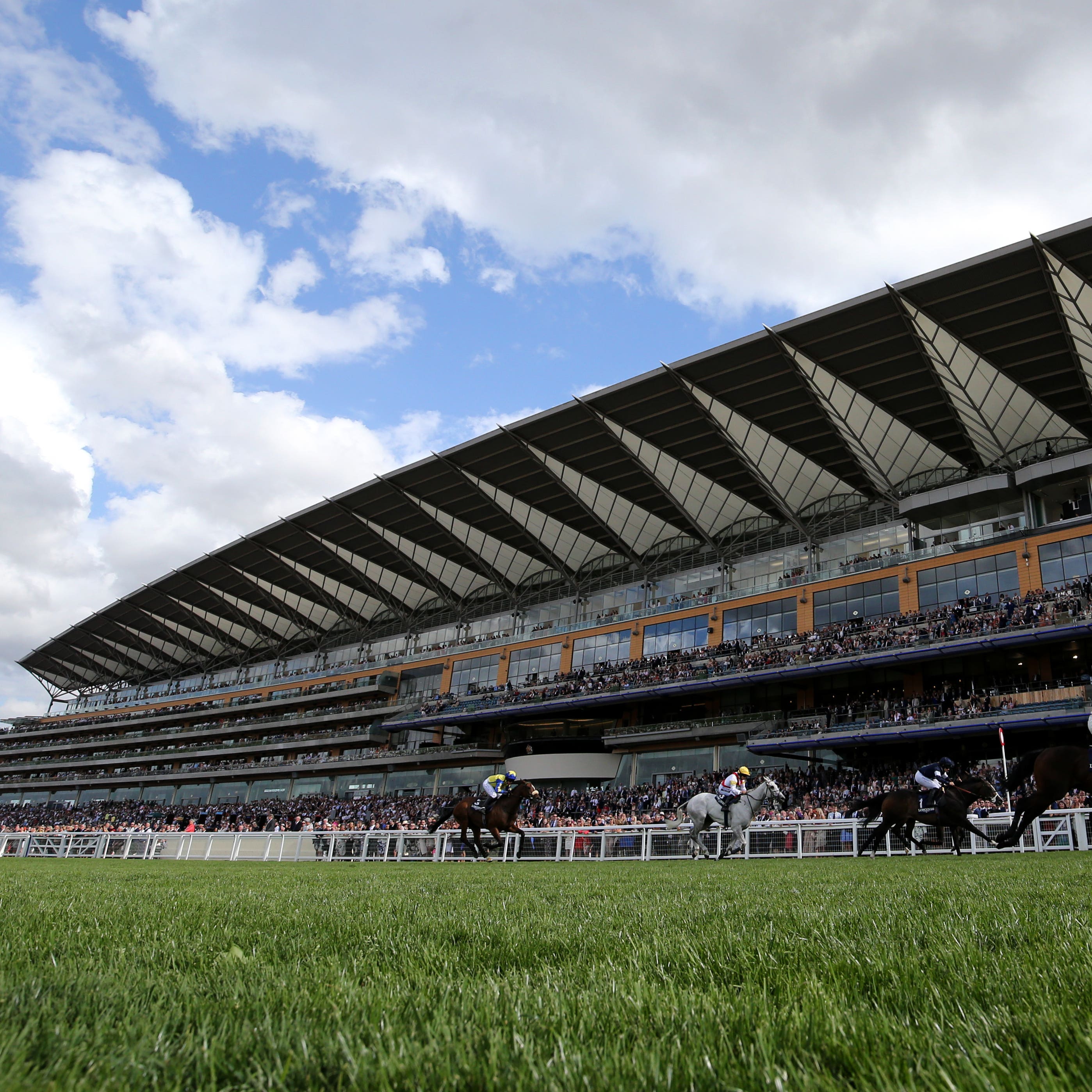 Champions Day set to take place on soft ground