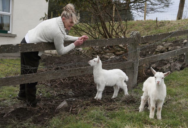 Angela Bermingham said Daisy took a shine to a ram (Brian Lawless/PA)